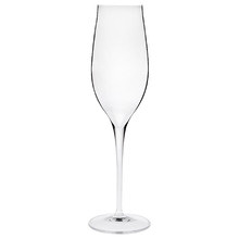 Vinea 200ml Champagne Flutes (Set of 6)